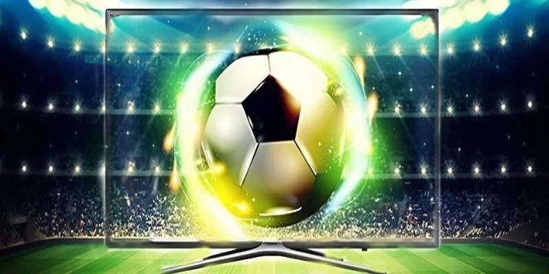 Trách nhiệm người dùng trong bản quyền của cakhiatv